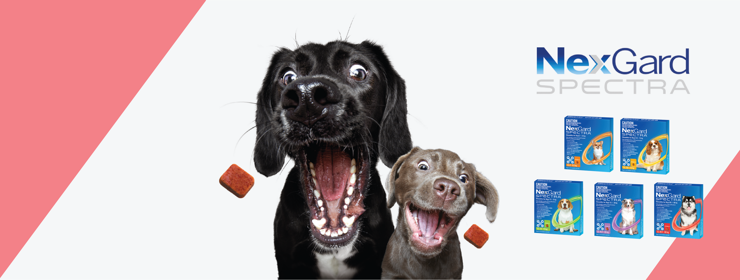 Sierra Pet Meds Affordable Pet Treatment for Cats and Dogs