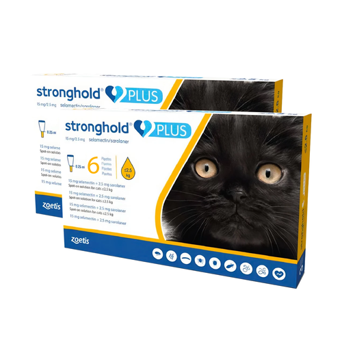 Stronghold PLUS for Small Cats up to 5.5 lbs (up to 2.5 kg) - Gold 12 Doses