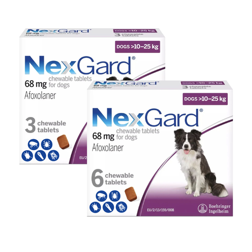 Nexgard Chews for Dogs 24.1-60 lbs (10.1-25 kg) - Purple 9 Chews