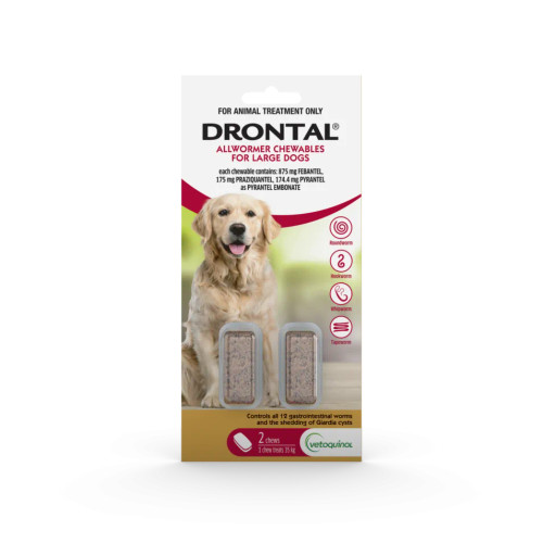 Drontal Allwormer Chews for Dogs up to 77 lbs (up to 35 kg) - 2 Chews