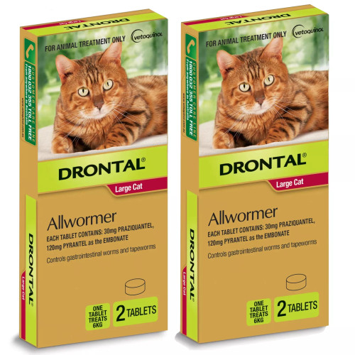 Drontal Allwormer Tablets for Cats up to 13.2 lbs (6kg) - 4 Tablets