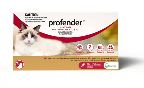 Profender Allwormer for Large Cats 5 to 8 kg box