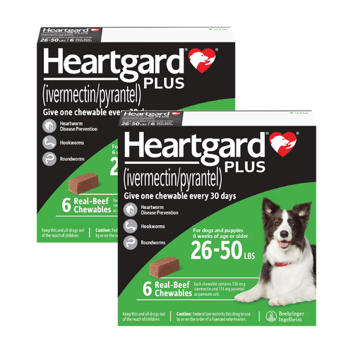 Heartgard Plus Chewables for Dogs 26-50 lbs (12-22 kg) - Green 12 Chews