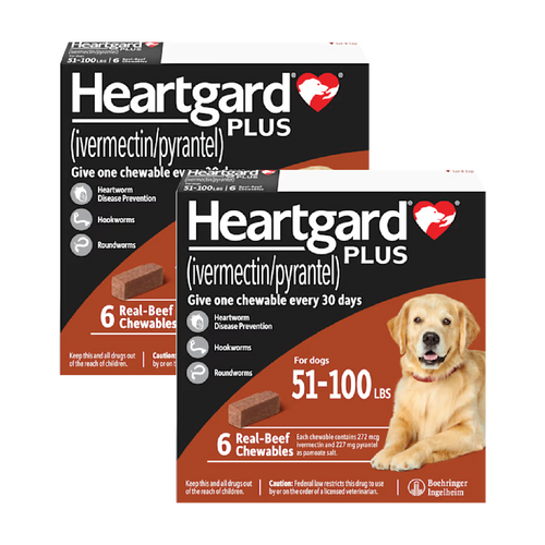 20% Off Heartgard Plus Chewables for Dogs 51-100 lbs (23-45 kg) - Brown 12 Chews Now Only $ 66.54