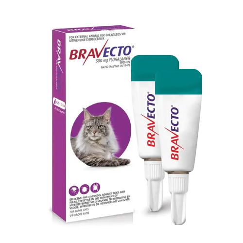 Bravecto Topical Solution for Cats 13.8-27.5 lbs (6.25-12.5 kg) - Purple 2 Doses