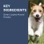 PAW Osteosupport Capsules for Dogs - 150 Capsules