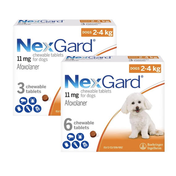 Nexgard masticables para perros de 2-4 kg (4-10 lbs) - naranja 9 masticables