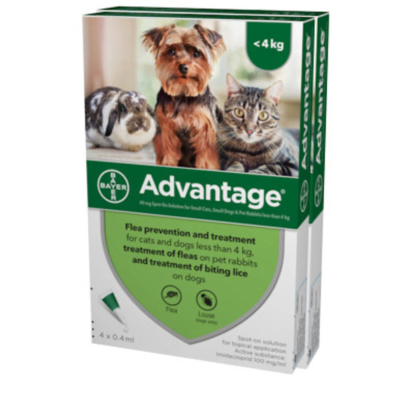 Advantage para perros y gatos pequeños de hasta 4 kg (9 lbs) - Verde 8 dosis