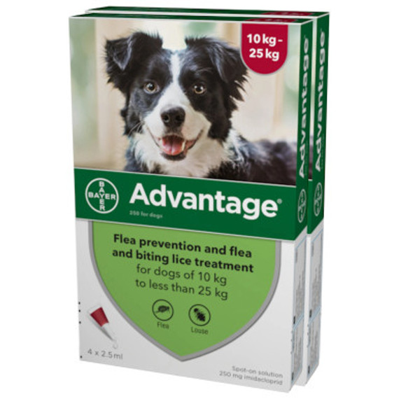 Advantage für Hunde 21-55 lbs (10.1-25 kg) - Rot 8 Dosen