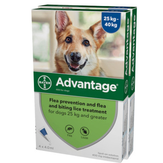 Advantage para perros de más de 25 kg (55 lbs) - Azul 8 dosis Advantage para perros de más de 25 kg (55 lbs) - Azul 8 dosis