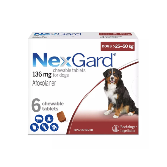 Nexgard Chews pour chiens 60.1-121 lbs (25.1-50 kg) - Rouge 6 Chews