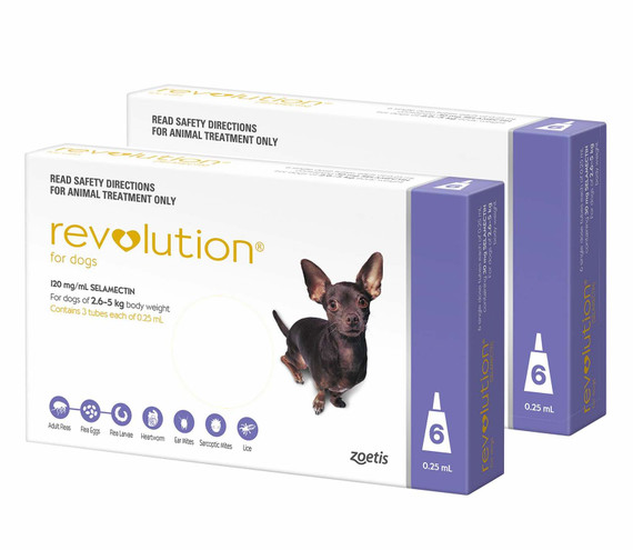20% Off Revolution for Dogs 5.1-10 lbs (2.6-5 kg) - Purple 12 Doses Now Only $ 163.84