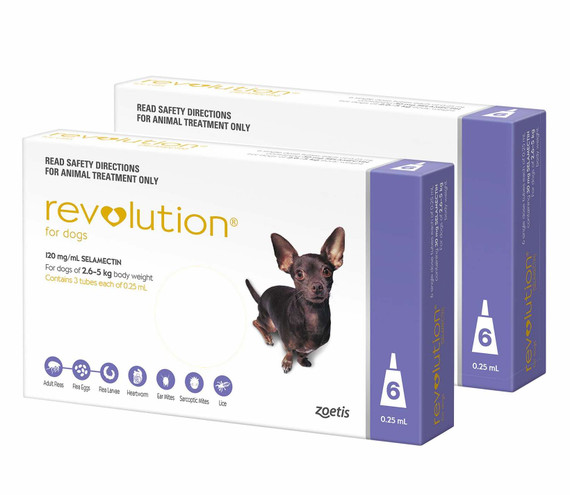 20% di sconto su Revolution per cani da 5,1 a 10 libbre (2,6-5 kg) - Viola 12 dosi Ora solo $ 163,84