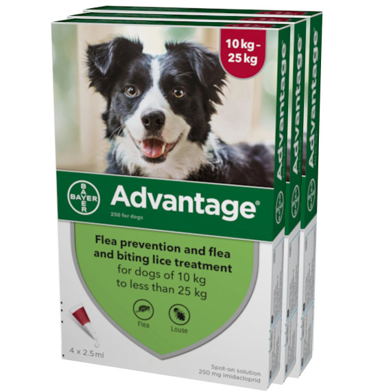 20% de descuento Advantage para perros 21-55 libras (10,1-25 kg) - Rojo 12 dosis Ahora sólo $ 62.02 20% de descuento Advantage para perros 21-55 libras (10,1-25 kg) - Rojo 12 dosis Ahora sólo $ 62.02