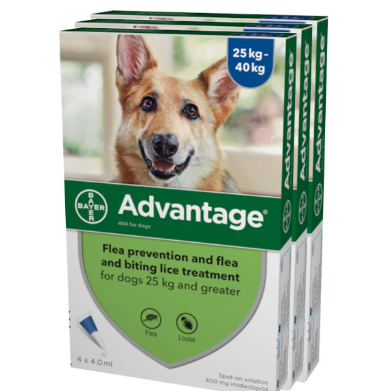 20% de descuento Advantage para perros de más de 55 libras (más de 25 kg) - Azul 12 dosis Ahora sólo $ 62.02 20% de descuento Advantage para perros de más de 55 libras (más de 25 kg) - Azul 12 dosis Ahora sólo $ 62.02