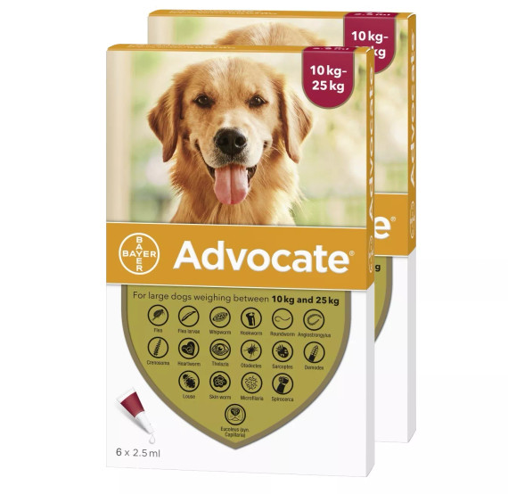 20% korting op Advocate for Dogs 20-55 lbs (10.1-25 kg) - Red 12 Doses Nu slechts $ 112,87