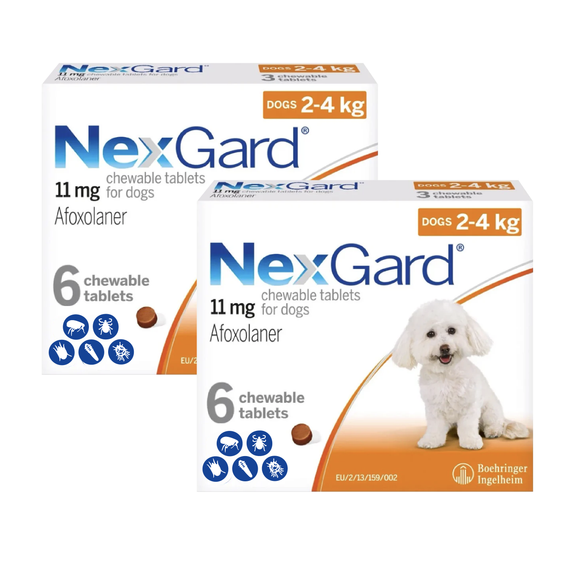 Nexgard Kauartikel für Hunde 4-10 lbs (2-4 kg) - Orange 12 Kauartikel