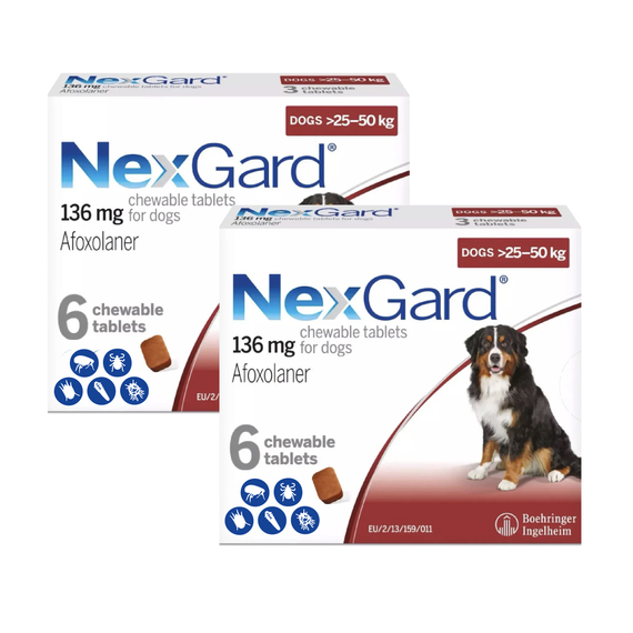 Nexgard Chews pour chiens 60.1-121 lbs (25.1-50 kg) - Rouge 12 Chews