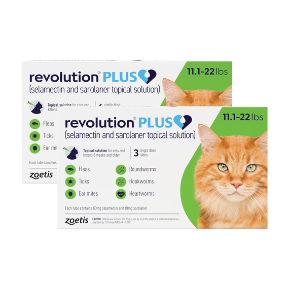 Revolution PLUS für große Katzen 11.1-22 lbs (5-10 kg) - Grün 6 Dosen