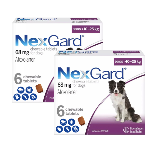 Nexgard Kauartikel für Hunde 24.1-60 lbs (10.1-25 kg) - Lila 12 Kauartikel