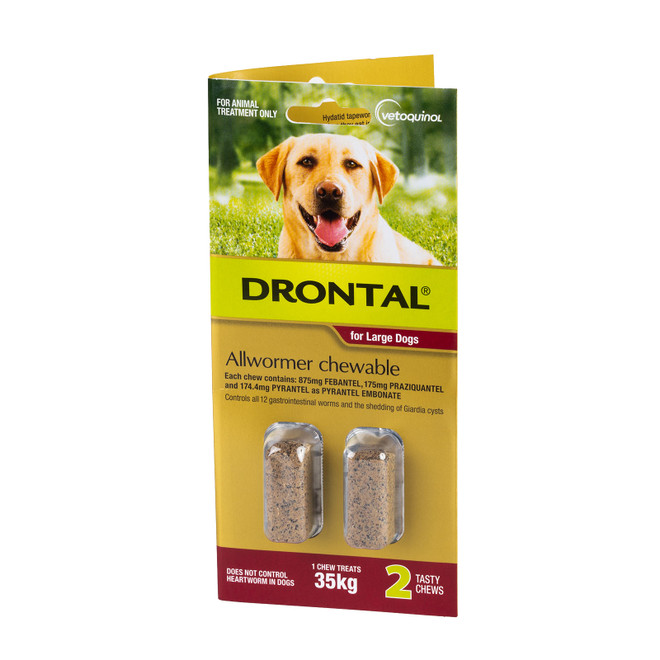 20% הנחה על לעיסות Drontal Allwormer לכלבים עד 35 ק"ג (77 ליברות) - 2 חטיפים עכשיו רק $ 36.79
