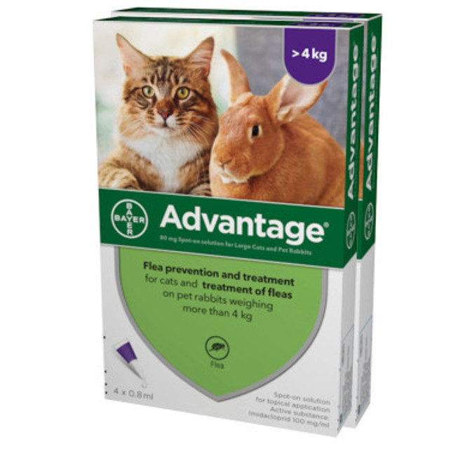 Advantage for Cats over 9 lbs (over 4 kg) - Purple 8 Doses