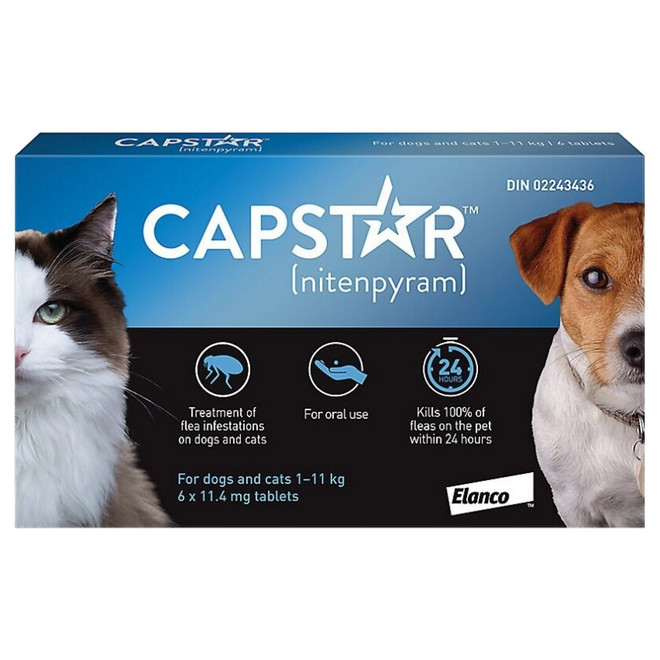 최대 25파운드(최대 11kg)의 소형견 및 고양이를 위한 캡스타 벼룩 치료 정제 20% 할인 - 블루 6정 $27.35에 구매 가능.