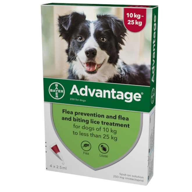 20% de descuento Advantage para perros 21-55 libras (10,1-25 kg) - Rojo 4 dosis Ahora sólo $ 27 20% de descuento Advantage para perros 21-55 libras (10,1-25 kg) - Rojo 4 dosis Ahora sólo $ 27