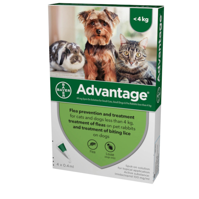 20 % Advantage pour les petits chiens et chats jusqu'à 4 kg (9 lb) - 4 doses vertes Maintenant seulement 27