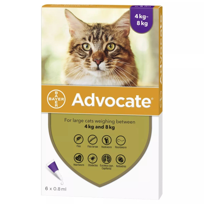 20% Off Advocate for Cats over 9 lbs (over 4 kg) - Purple 6 Doses Now Only $ 52.83