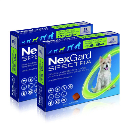 Nexgard Spectra Chews for Dogs 16.1-33 lbs (7.6-15 kg) - Green 6 Chews
