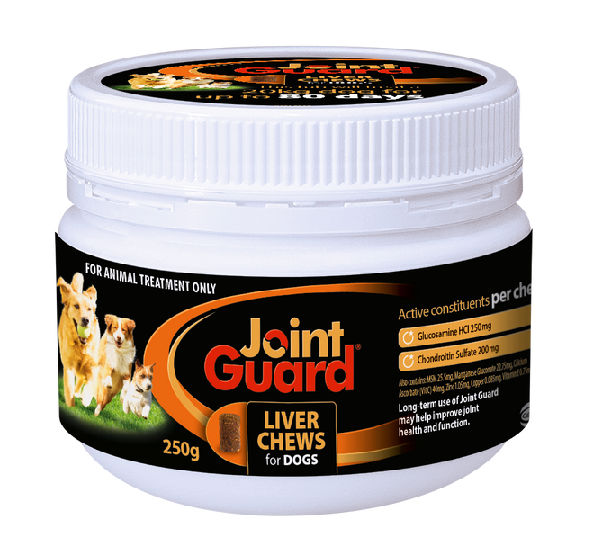 20% Off Joint Guard Liver Chews for Dogs - 250g (8.8 oz) - 120 treats Now Only $ 49.59 20% Off Joint Guard Liver Chews for Dogs - 250g (8.8 oz) - 120 treats Now Only $ 49.59