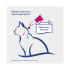 Felpreva Spot-On para gatos grandes (5-8 kg) - 2K