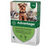 Advantage para perros y gatos pequeños de hasta 4 kg (9 lbs) - Verde 8 dosis