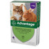 Advantage para gatos de más de 4 kg (9 lbs) - 8 dosis púrpura