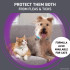 Frontline Plus for Dogs up to 22 lbs (up to 10 kg) - Orange 12 Doses