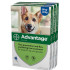 20% de descuento Advantage para perros de más de 55 libras (más de 25 kg) - Azul 12 dosis Ahora sólo $ 62.02