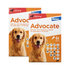 Advocate for Dogs 20-55 lbs (10.1-25 kg) - Red 12 Doses