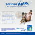 Nexgard Spectra Masticables para perros de 2-3,5 kg (4,4-8 lbs) - Naranja 6 masticables