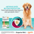 Simparica TRIO Masticables para perros de 20,1-40 kg (44-88 lbs) - Verde 12 Masticables
