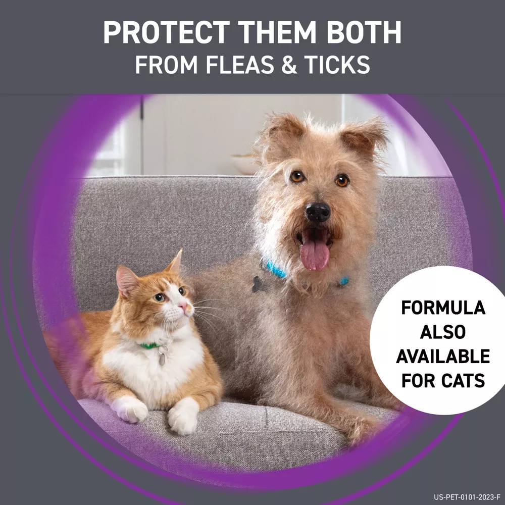 FRONTLINE Plus Flea & Tick Treatment For Small Dogs (5-22 Lbs) - 6 Doses-539586