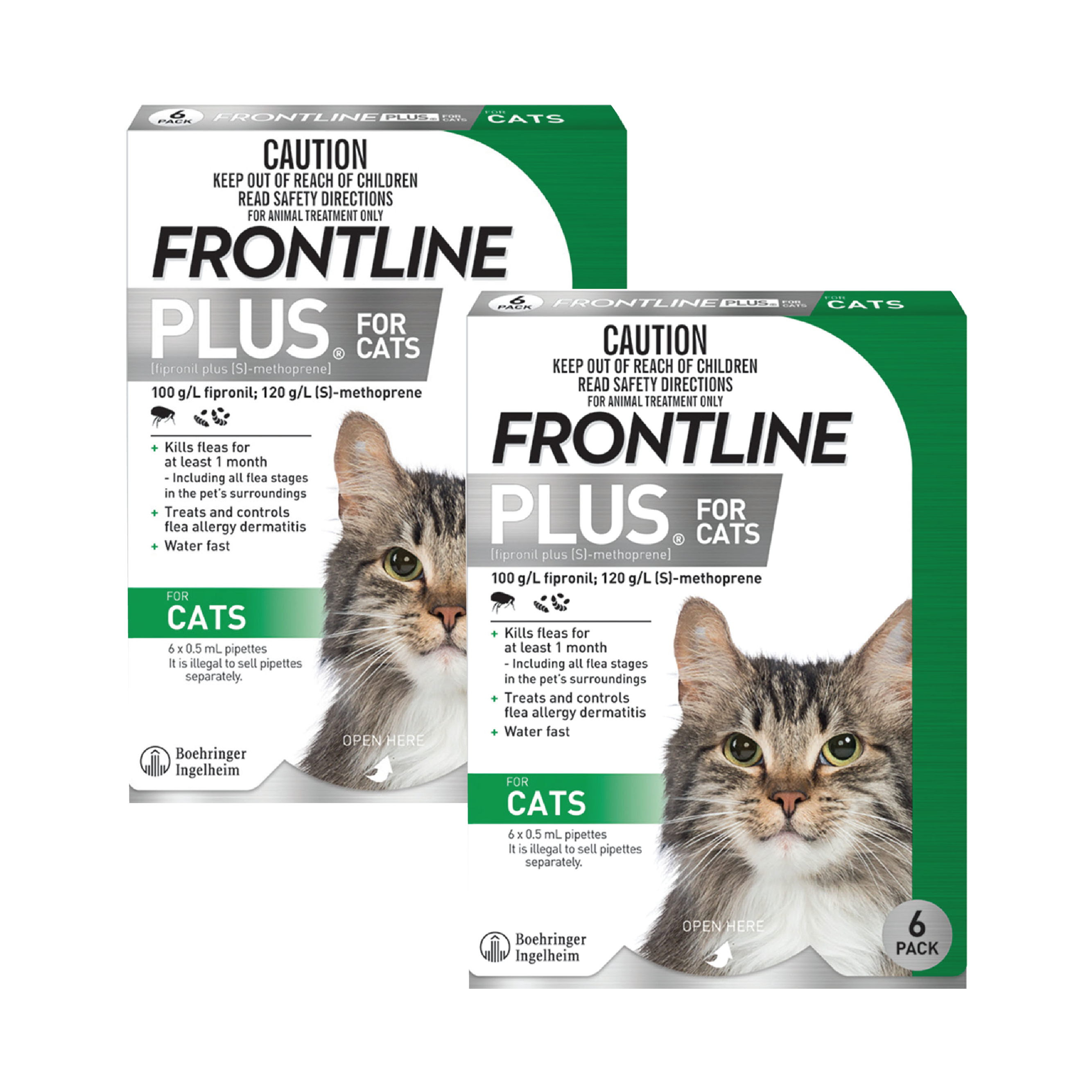 Frontline Plus for Cats Green 12 Doses Sierra Pet Meds - Main Image