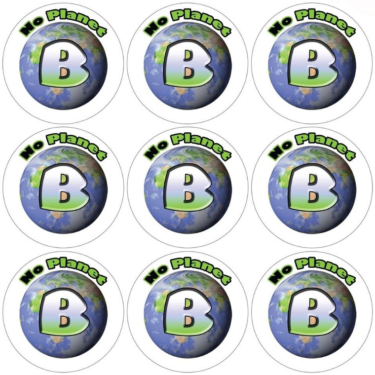 Sticker Stocker 144 There is no Planet B 30mm Reward Stickers for School Teachers, Parents and Nursery