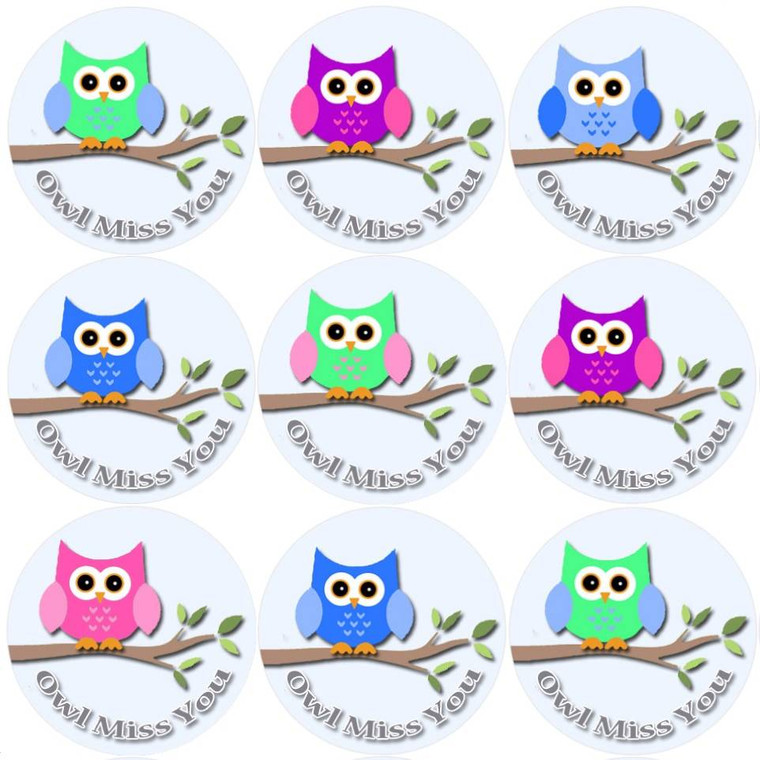 Sticker Stocker 144 Owl Miss You - End of Term Year School Leavers Teacher Reward Stickers Size 30 mm