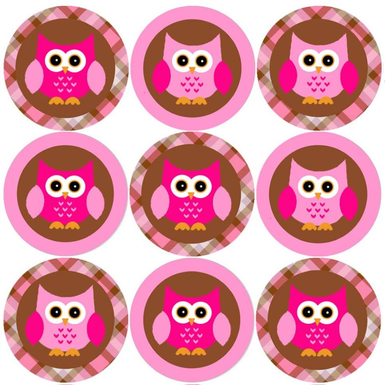 Sticker Stocker 144 Pink Owl 30mm Round Childrens Reward Stickers for Teachers, Parents and Party Bags