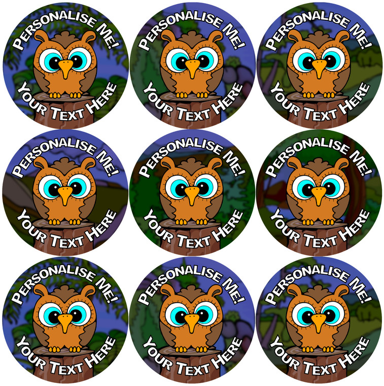 Sticker Stocker - 144 Personalised Baby Owls 30mm Reward Stickers for School Teachers, Parents and Nursery