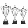 Silver Italian Cup Trophy