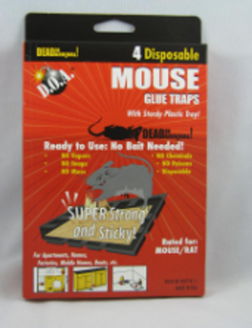 PEST GLUE TRAP MOUSE 24/PK4 PER/CS