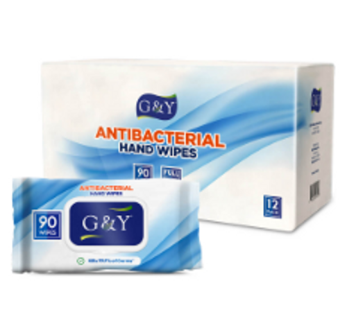 WIPE HAND ANITBACTRIAL 90CT(12) G&Y