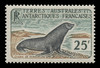 FSAT Scott #  18, 1960  25fr Weddell Seal